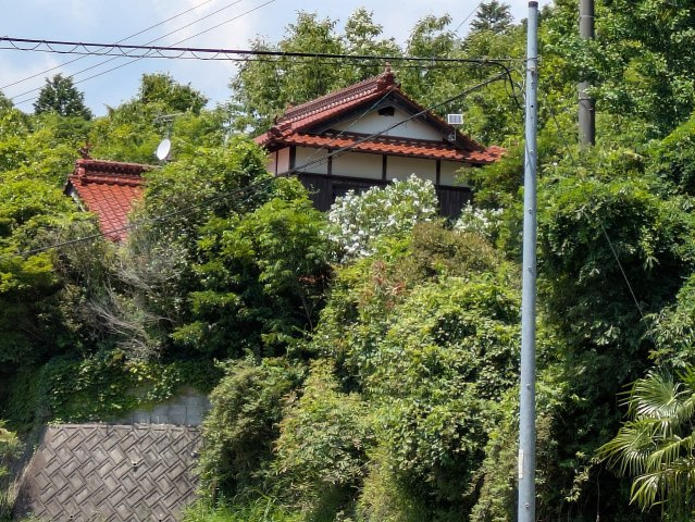 【現地写真】　2026年6月に撮影しました