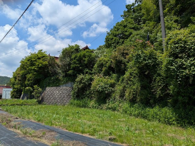 【現地写真】　2026年6月に撮影しました