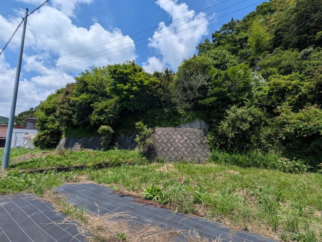 【現地写真】　2026年6月に撮影しました