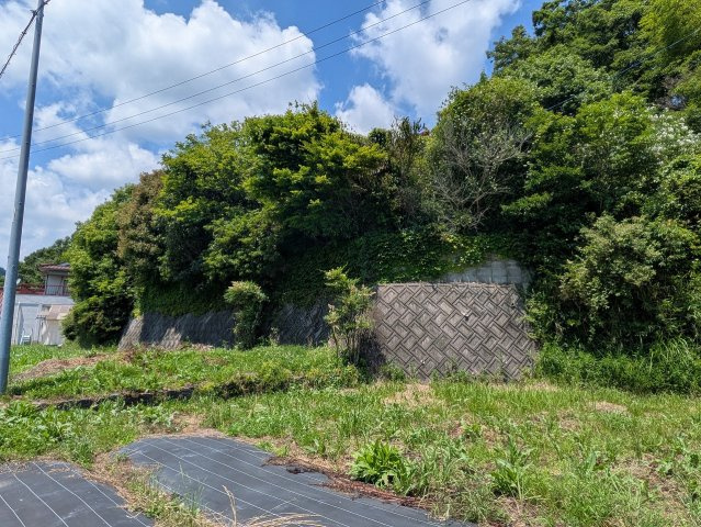 【現地写真】　2026年6月に撮影しました