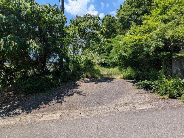 【現地写真】　2026年6月に撮影しました