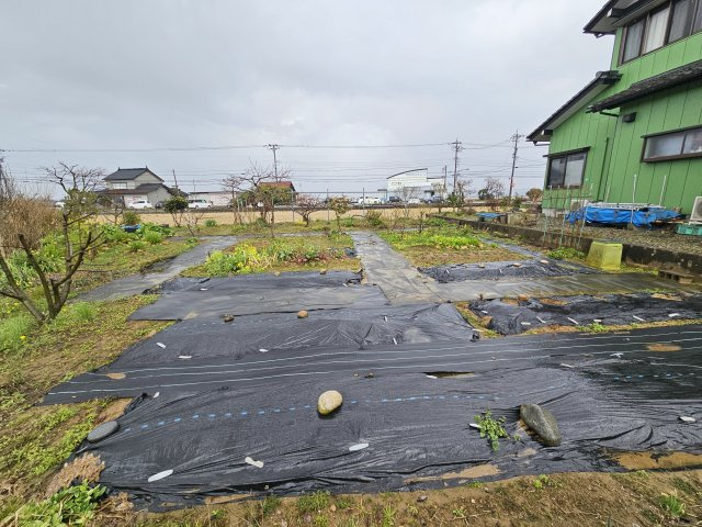 敷地後方の庭