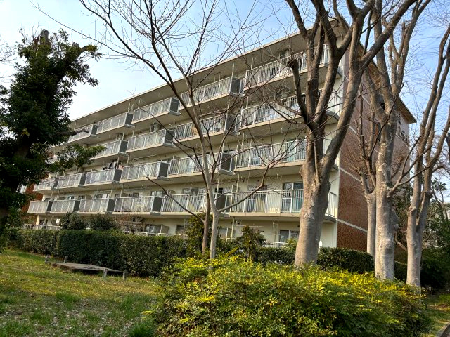 外観：313004579019