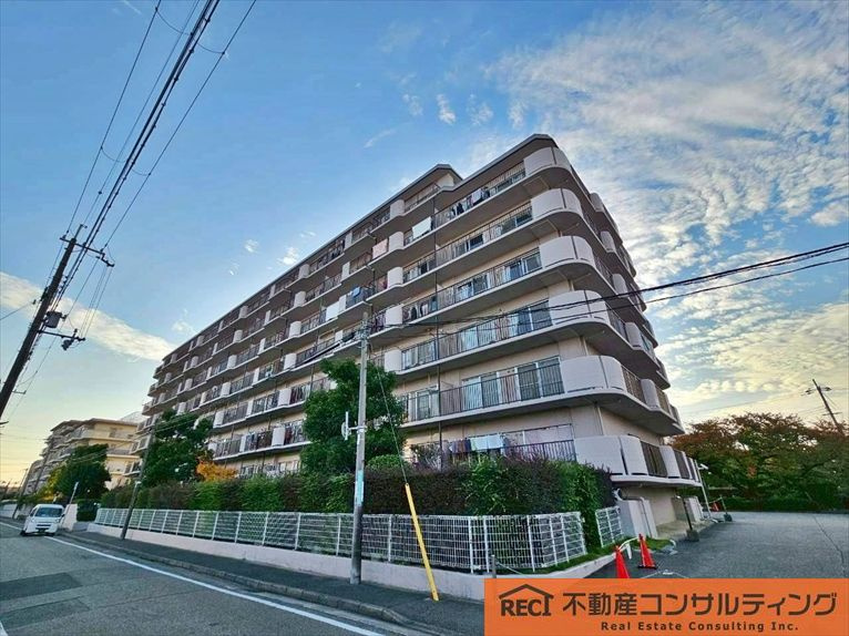 東向き陽当たり良好