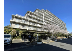 行徳南スカイハイツC棟の外観