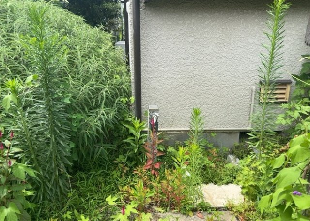 敷地内に散水栓や立水栓があると便利です。水道水を直接利用できるため、水を運ぶ手間を省くことが出来ます。大量の水を必要とする洗車作業や清掃などに役立ちます。その他設備とあわせて、現地でご確認ください。
