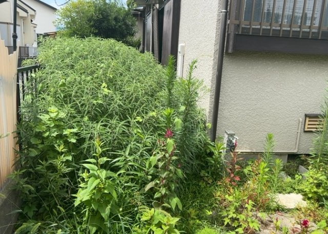 庭があることでガーデニングや家庭菜園はもちろん、こどもの遊び場やペットを放して遊ぶことができます。また、家の周囲に余裕があるということです。隣地との間があれば、十分な日当たりと、風通しが確保できます。