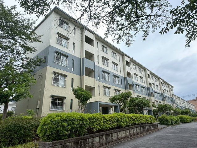 外観：312001257343