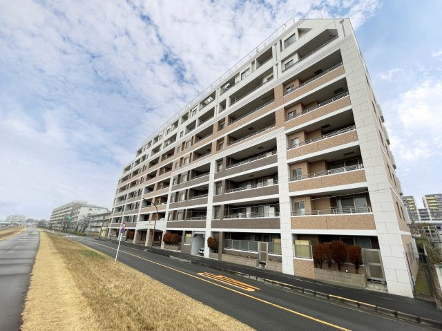 外観：313004620388