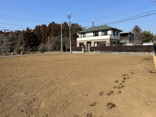 敷地内からの写真です。奥行きもあります。