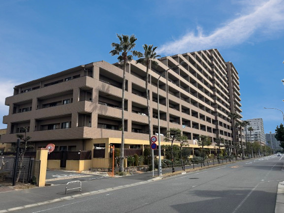 外観：312001194484