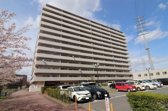 外観：325000118137