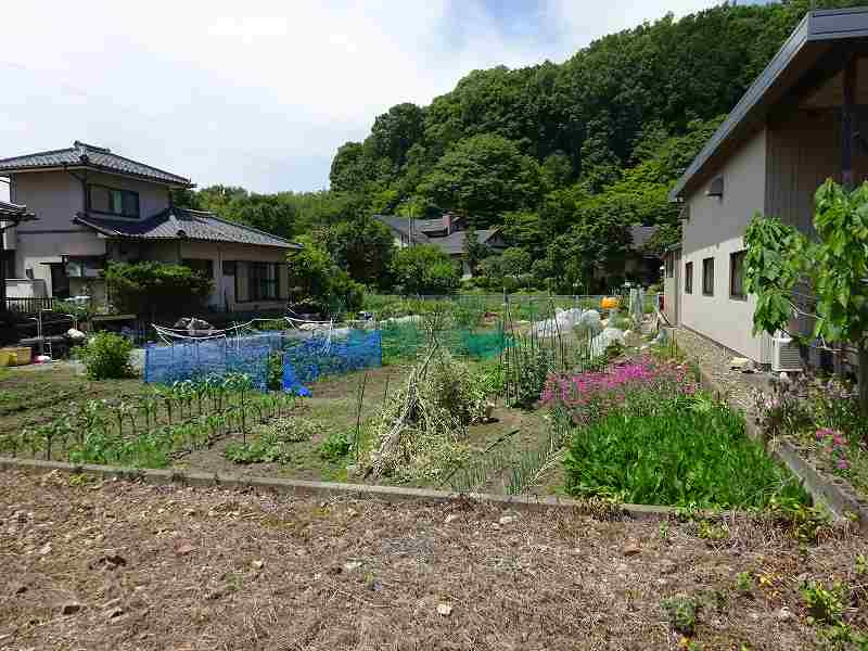 外観：321000081029