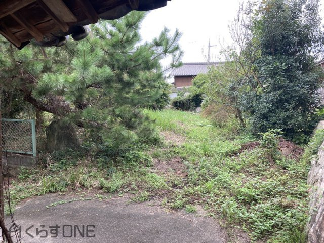 庭