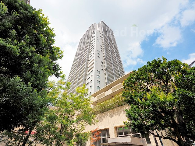 外観：313004649232