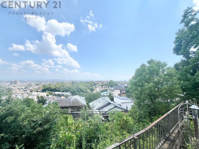 展望