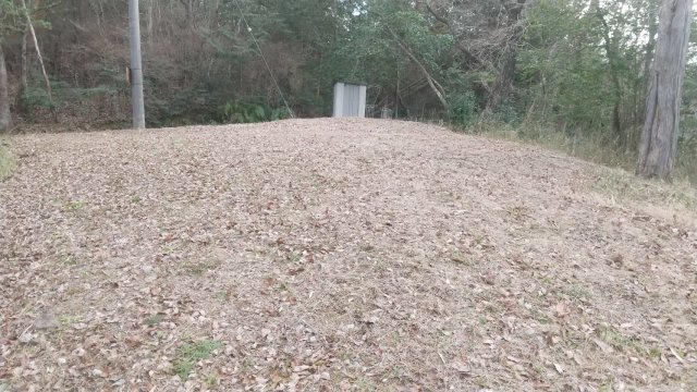 外観：328000624298