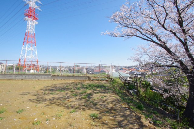 令和8年4月3日撮影