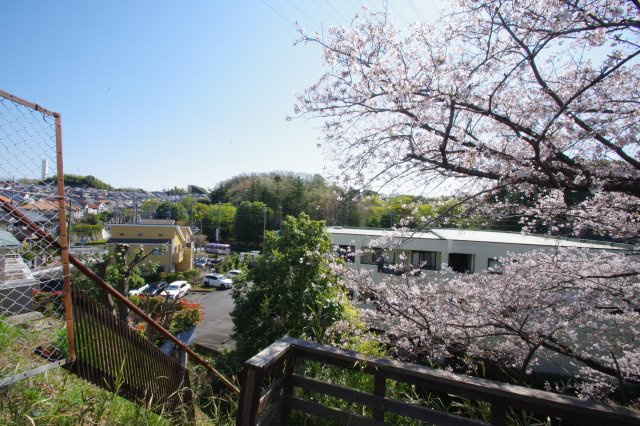 令和8年4月3日撮影