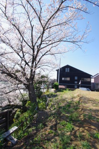 令和8年4月3日撮影