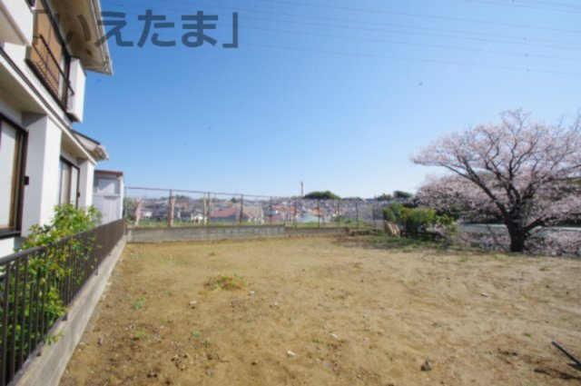 令和8年4月3日撮影