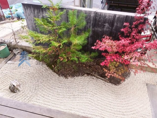 和室側の坪庭♪縁側に腰を下ろし、お茶と一緒にひとときの休息を♪秋にはモミジの紅葉に目を奪われます♪