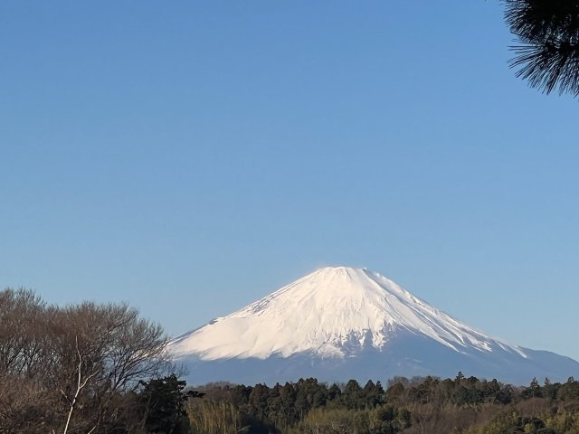 「森に包まれ、物語に住まう。　晴れた日には、庭から富士山を望む一邸。」