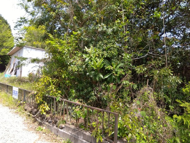 前面道路に接道しており、車での進入も可能です。間口は約7.5ｍあります。