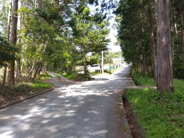 緑豊かな場所にあります。四季折々の景色を身近に感じられます。