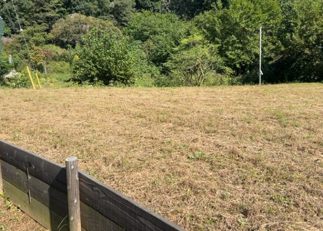 土地を買う際、住む地域の自治体や福祉の補助制度にも注目してみましょう。子供や老人の医療補助やゴミ出しのルールなど、自治体によってルールに大きな違いがあるため、暮らしやすい土地で判断するとよいでしょう。