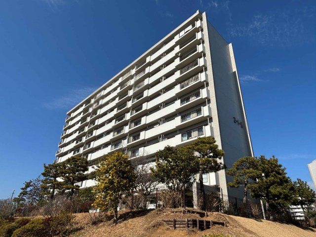 外観：313004621029