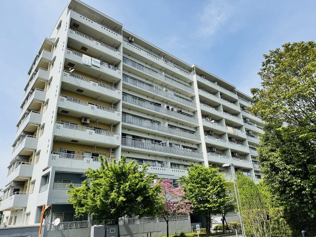 外観：313004736163