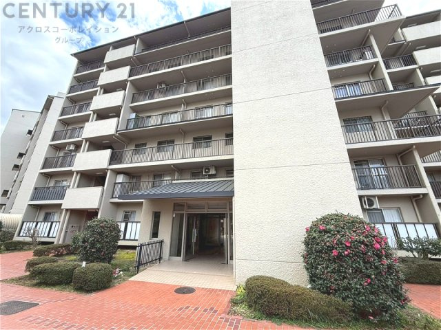 外観：328000613292