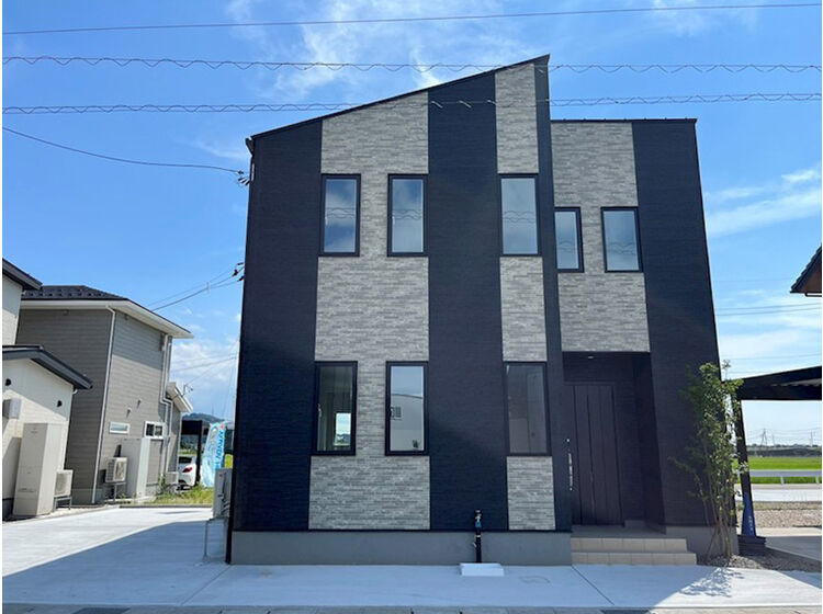 外観：317000011265