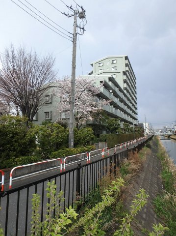 外観：311002323359