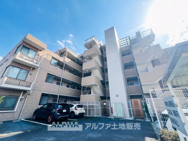 外観：313004699346