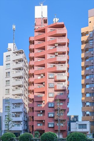 外観：313004623522