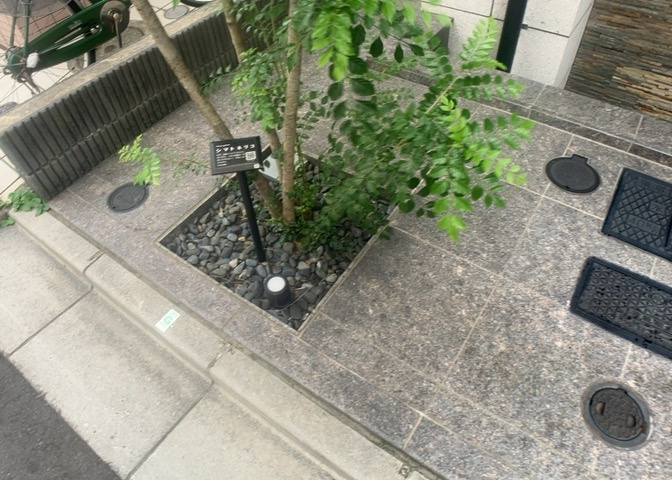 物件によっては、入居者が個人的に使用できる専用庭がついているものもあります。また、住宅の中にある土間の部分を庭と呼ぶこともあります。庭の用途は住む人によって変わり、それによってデザインもさまざまです。