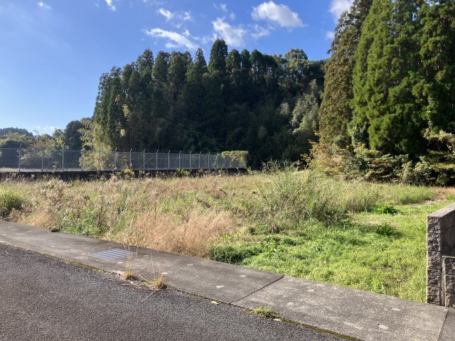 外観：346000039901