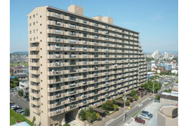 パークシティ三郷壱番館の外観