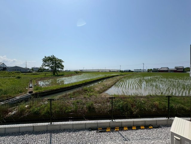 展望