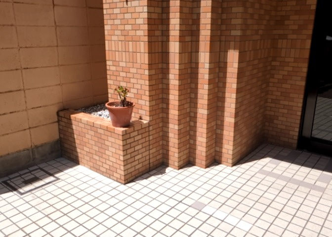 中庭（パティオ）とは、一つの建築物の内部に設けられた、壁などで囲われている庭のことを指します。コの字型、ロの字型が主流ですが、L字型の中庭もあります。最近では、インテリア性の高さからも人気があります。