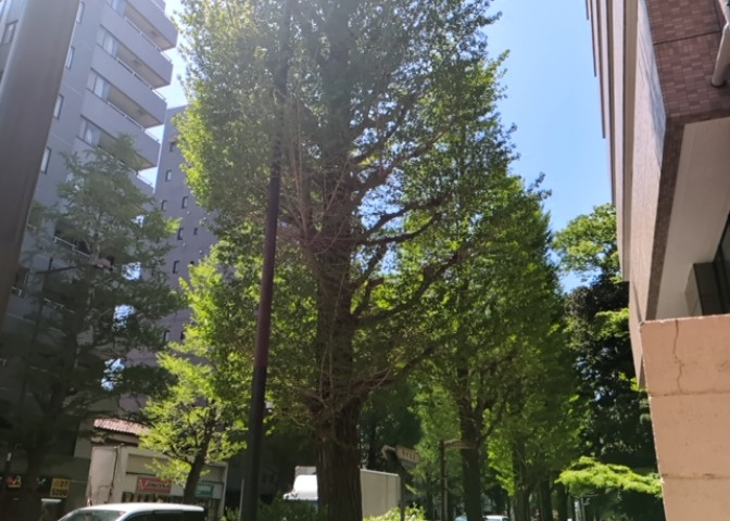 眺望を気にして物件を探す場合、前面に建物が建っていないか現地で確認しましょう！前面に建物があると景色はもちろん、日当たりや風通しにも影響が出てきます。住んだ時のことを想像しながら現地見学をしましょう。