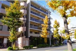 国立市富士見台の中古マンションの外観