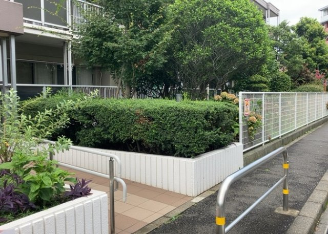 建物の中央部分や共用スペース周辺は清潔に保たれており、通風や採光にも貢献しています。日勤管理のスタッフによりしっかり清掃・メンテナンスが行われており、住まい全体の快適性を支えている空間です。
