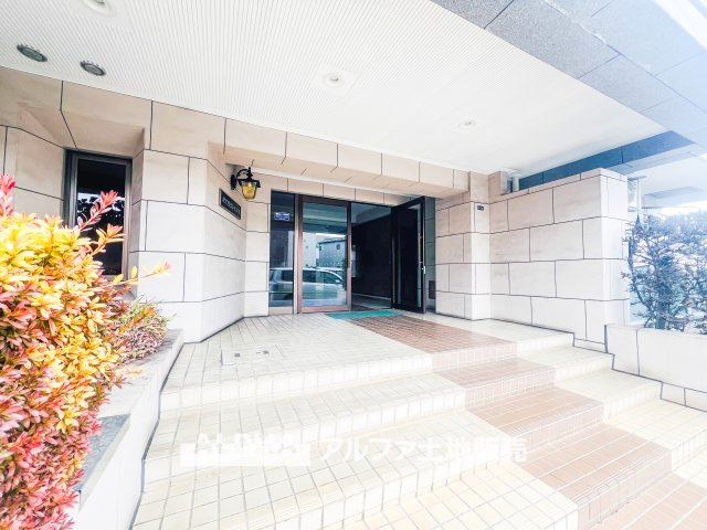 外観：313004620461