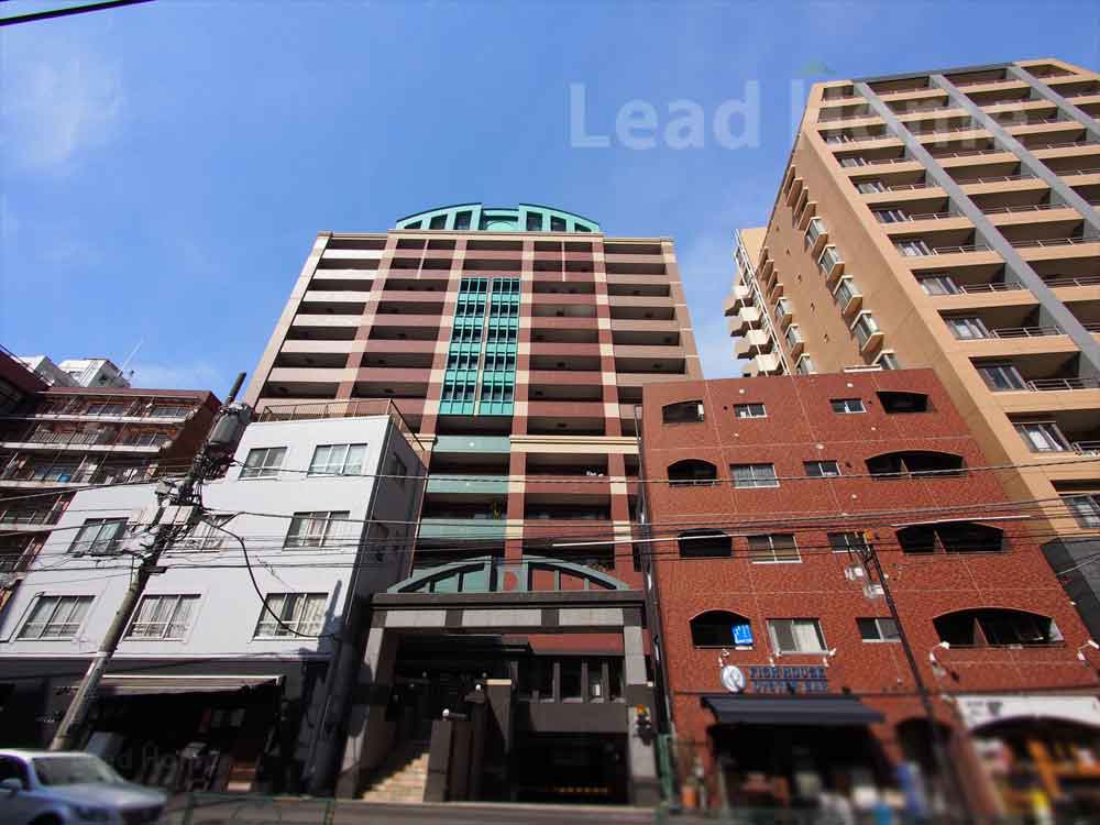 外観：313004726631