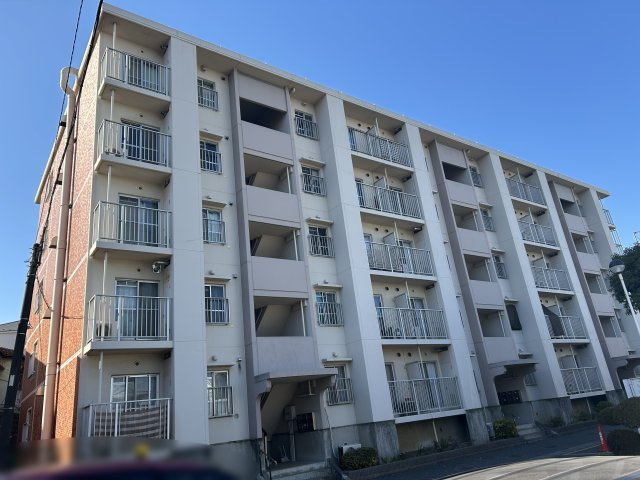 外観：312001196837