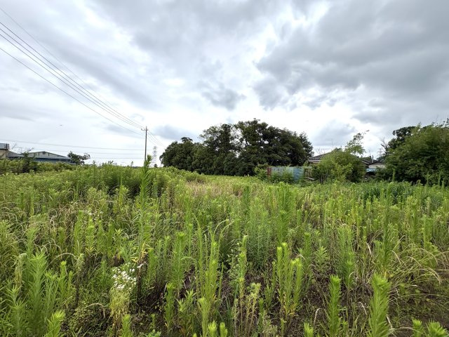 教育・商業施設が整った緑豊かな住宅街です。新和小学校まで徒歩約9分(650)ｍでお子様の通学も安心。