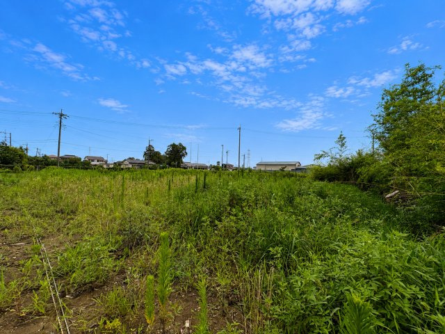教育・商業施設が整った緑豊かな住宅街です。新和小学校まで徒歩約9分(650)ｍでお子様の通学も安心。